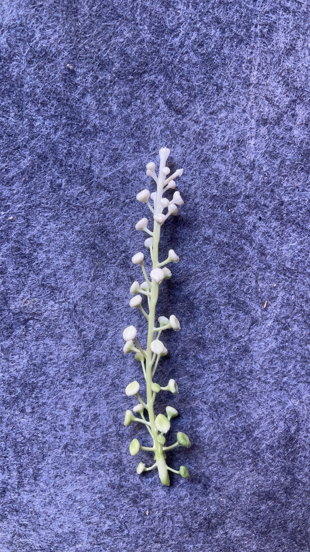 仿真花水草配件新款塑料盆栽家居摆件办公文化仿真园艺装饰植物详情7