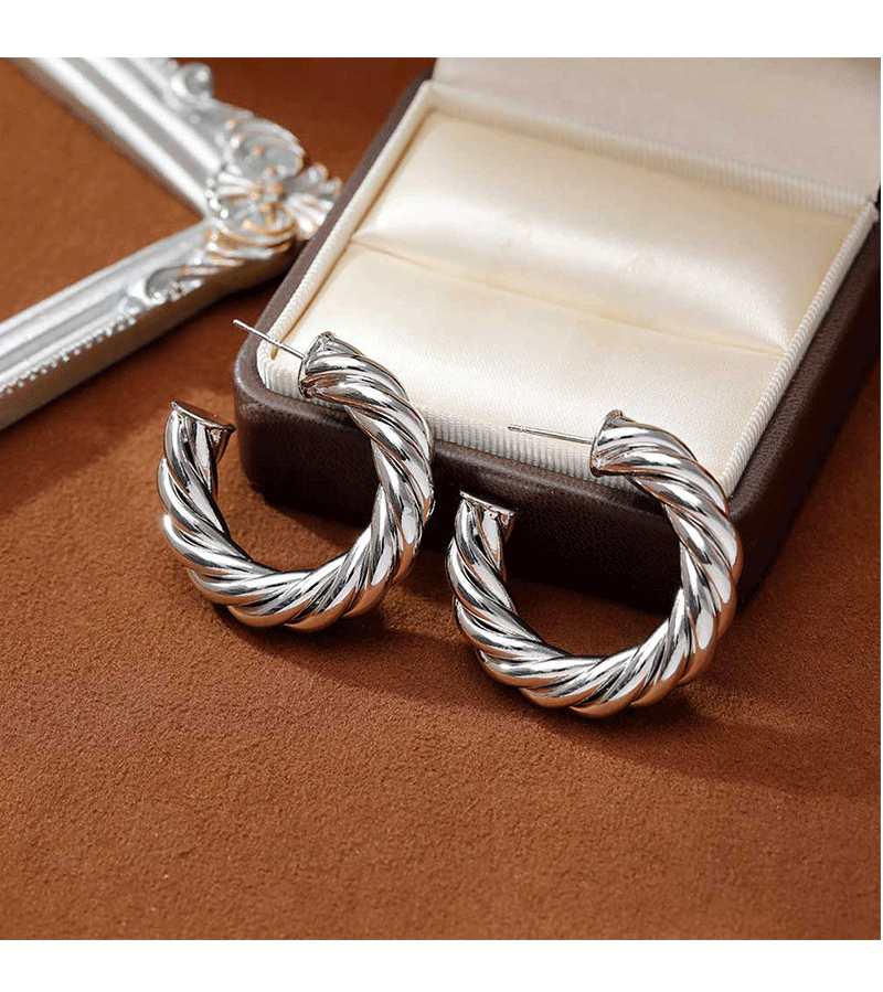 Hyacinth moda europea y americana personalidad temperamento moda orejeras minimalistas pendientes de aro de metal industria pesada alto grado sentido orejeras de oro pic 5
