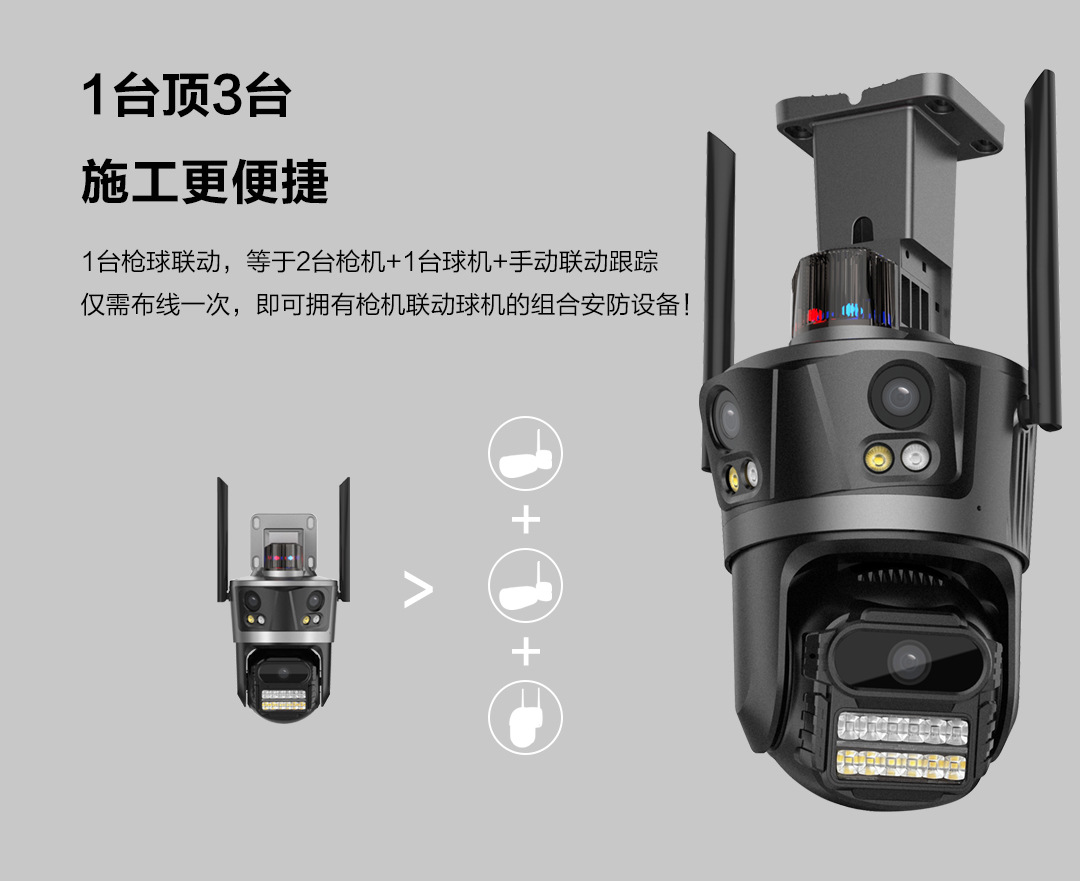 P12--SP8_06.jpg
