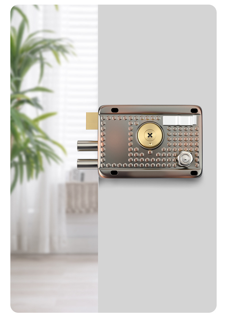 Indoor and outdoor old-style exterior anti-theft door lock, red bronze iron door, wooden door, garage door, three-safety lock, cross pic 10