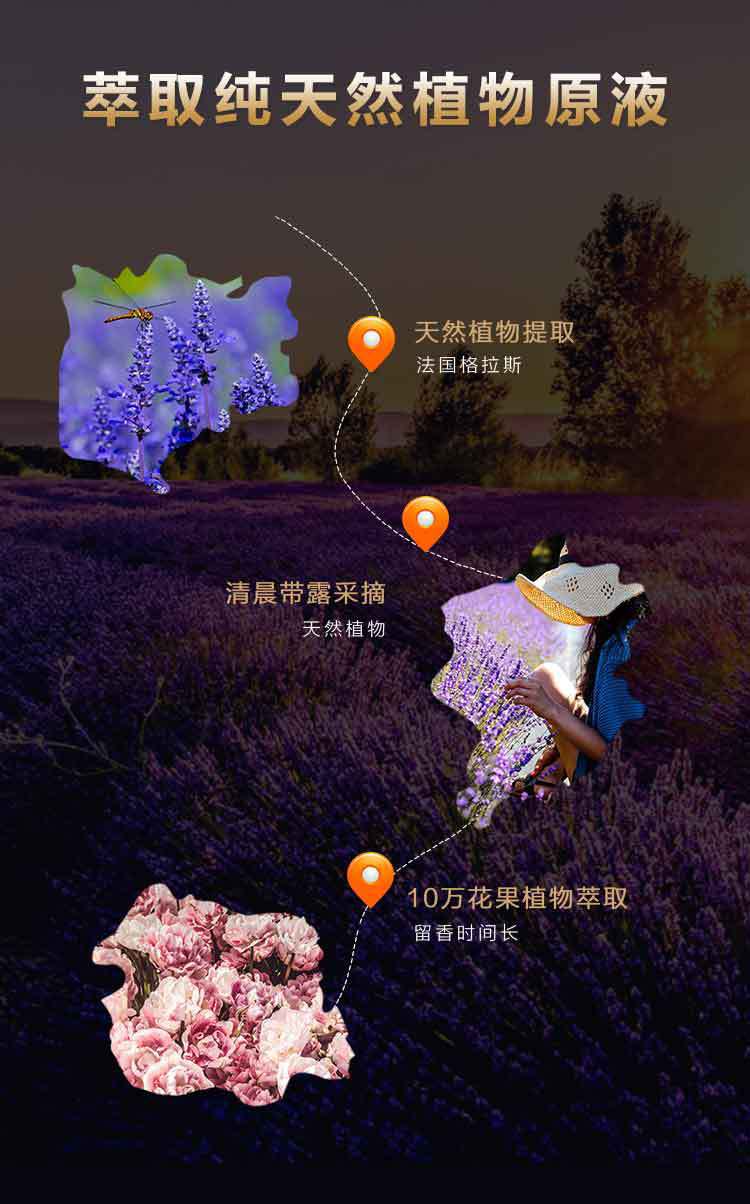 精油添加芳香祛味 炫100汽车用品厂家批发 汽车摆件香水座补充液详情11