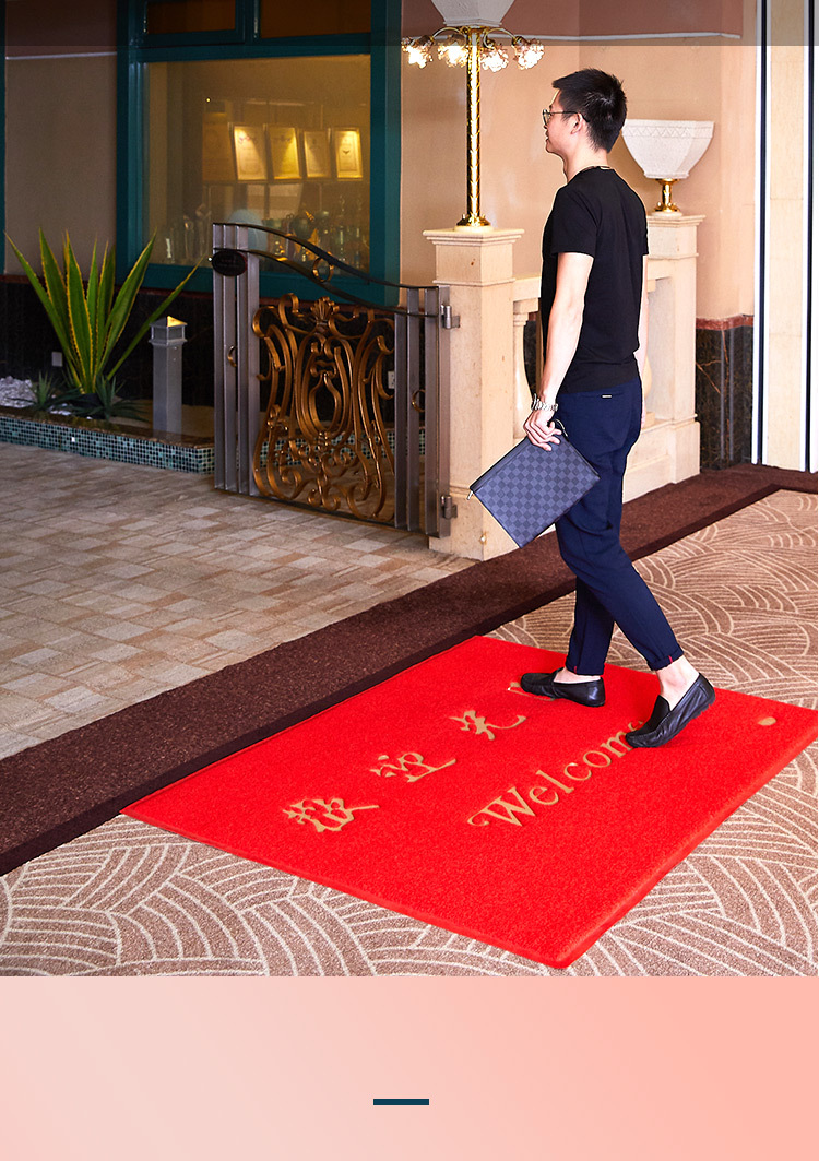 家用商用进门脚垫丝圈防水防滑门垫大门口入户地毯一件代发家纺详情3