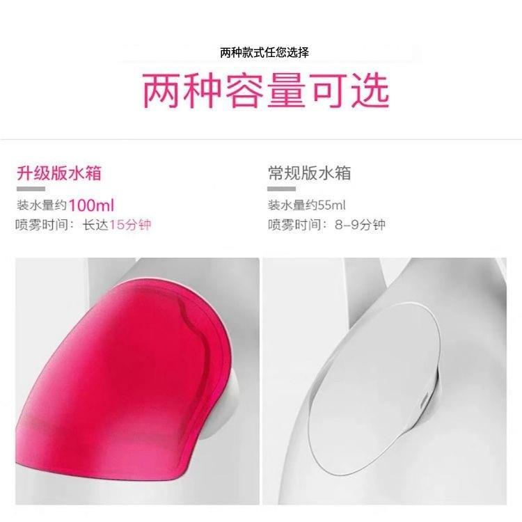 跨境补水仪面部美容热喷蒸脸仪纳米喷雾喷脸仪脸部家用蒸脸器现货详情7