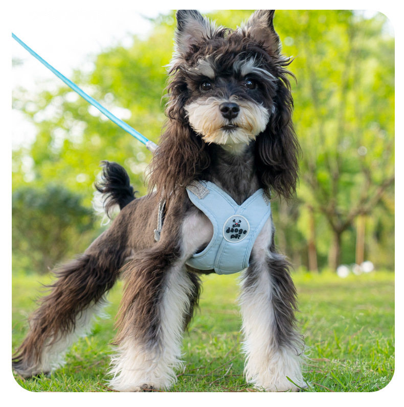 戎咖宠物跨境宠物伸缩牵引绳X型胸背狗狗牵引带雪纳瑞比熊遛狗胸背狗狗用品详情13