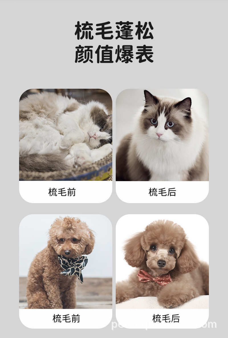 Pet comb needle to remove floating hair, brush for cleaning and combing hair, massage all-in-one comb, cat petting comb, pet supplies pic 4