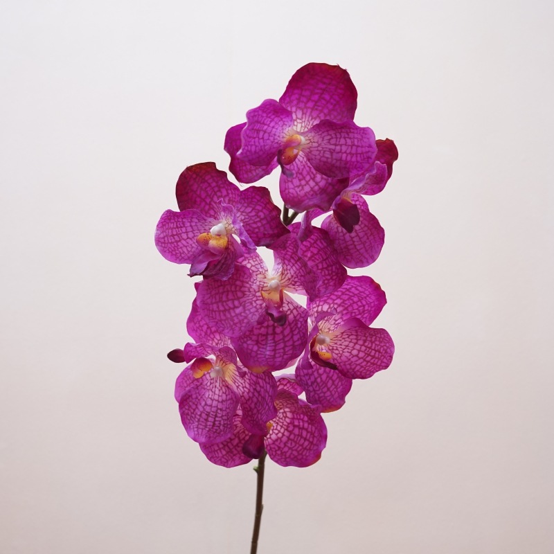 高品质仿真花手感万代兰婚庆家居装饰花软装插花胡姬兰胸花手捧花详情3