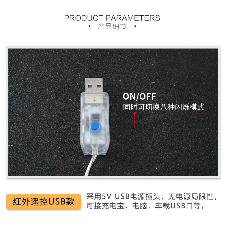 跨境led彩灯满天星圣诞装饰氛围灯批发3*3米遥控八功能铜线窗帘灯详情11