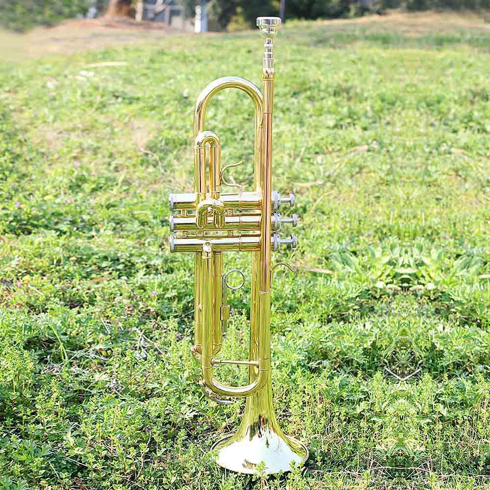 SLADE trompeta en si bemol importado latón cuerpo tubo fósforo cobre color principiante práctica banda tocando trompeta trompeta wholesale pic 5