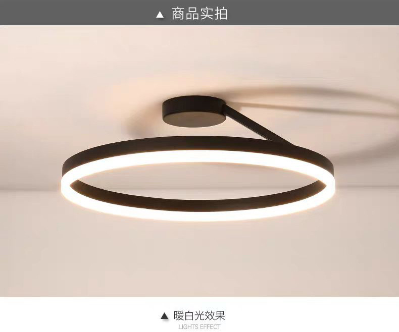 Ceiling light, circular bedroom light, minimalist ins cross-border study, modern and simple LED, master bedroom, dining room, balcony ceiling light pic 8