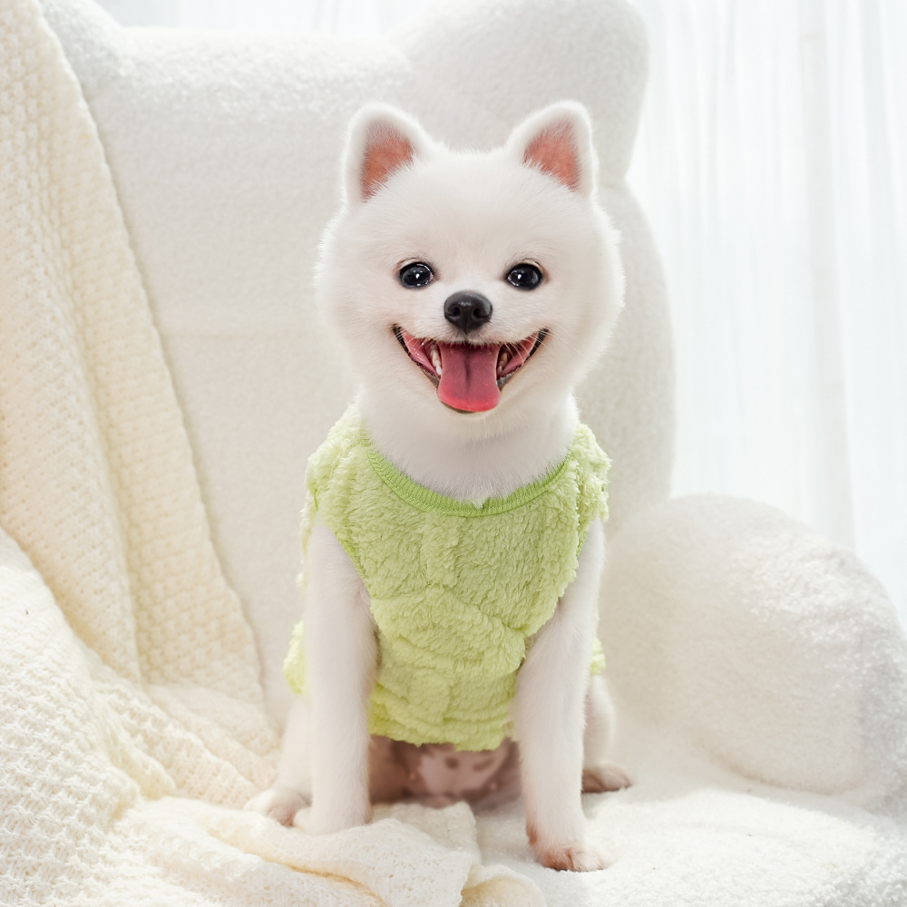 Ropa para perros invierno teddy by bears pomerania small dog mascotas otoño invierno plus peluche tracción peluche suministros para gatos pic 5