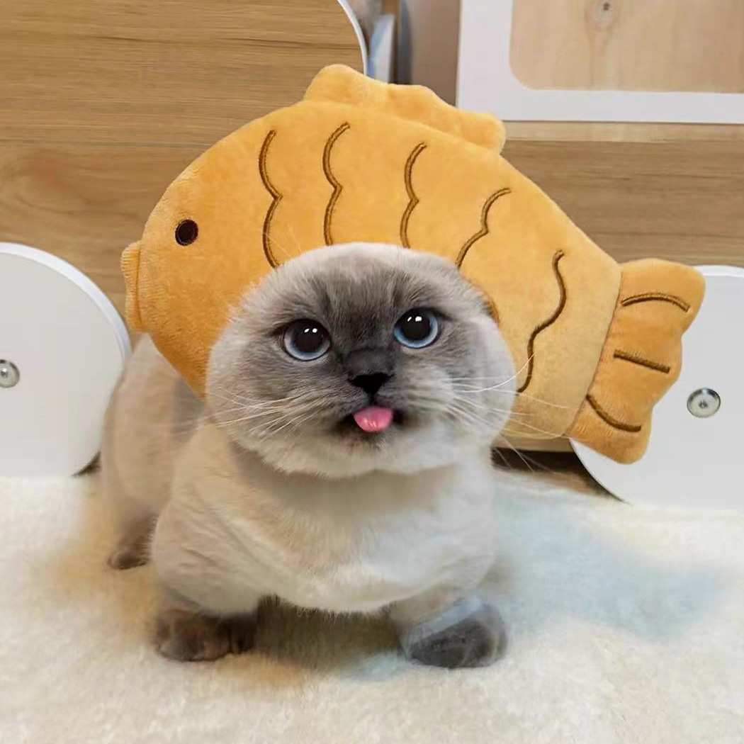 跨境宠物帽子装饰头套毛绒变装小狗狗猫咪比熊可爱拍照头饰搞怪详情6