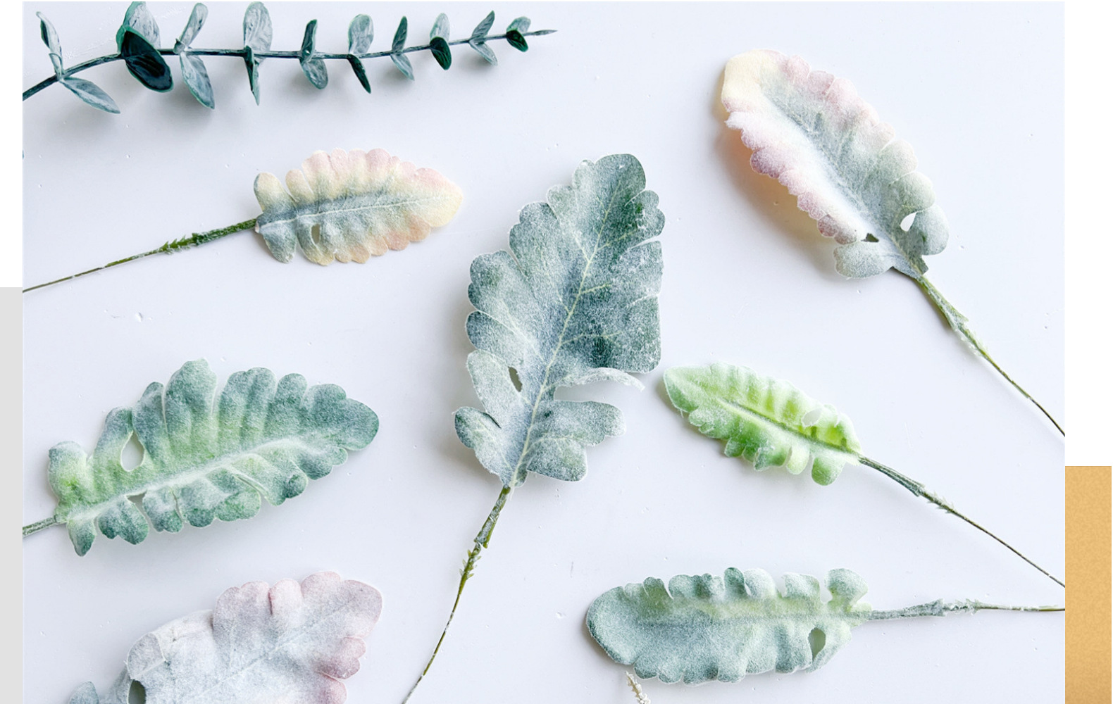 欧式银叶菊兔耳叶叶片配件情人节玫瑰假花餐桌家居绿植软装宠物园艺干花详情8