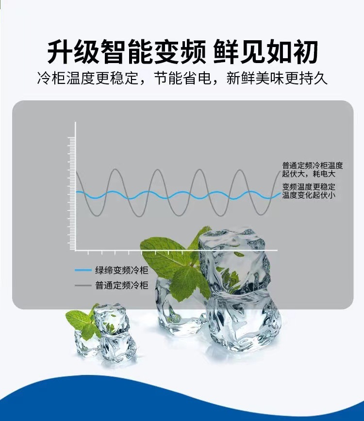 商用节能2门3门玻璃展示冻品GlassDoorFreezer立式冷冻柜详情7