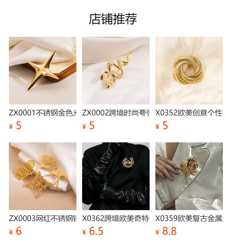 ZX0026夏季新款海螺不锈钢胸针女欧美网红潮流同款海滩风钛钢配饰详情2