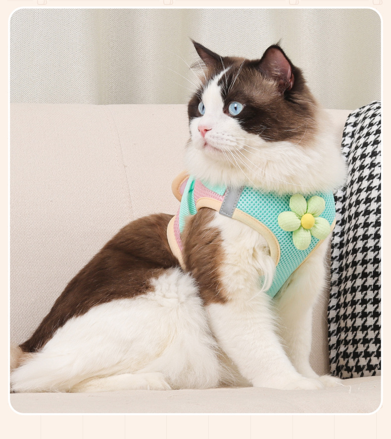 Nuevo estilo de cuerda de tracción de gato lindo pequeño tamaño perro pecho arnés tipo chaleco pet pecho espalda anti-liberación envoltura completa pic 16