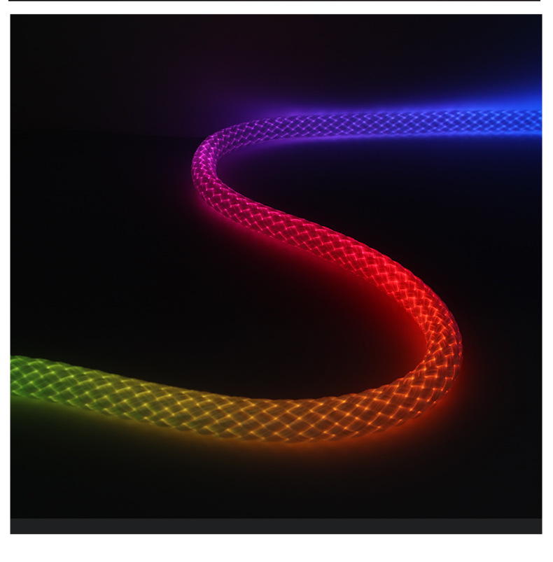 跨境专供龙纹编织幻彩灯带LED霓虹灯10mm防水Led柔性霓虹灯条形灯详情10