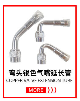 Bicycle valve adapter, bicycle air pump conversion nozzle, bicycle accessories, air nozzle valve adapter SV AV DV pic 6