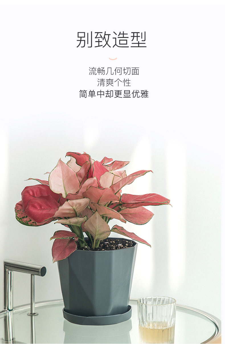 木里盆网红创意树脂绿植多肉塑料花盆加厚北欧简约大口径大号外贸详情12