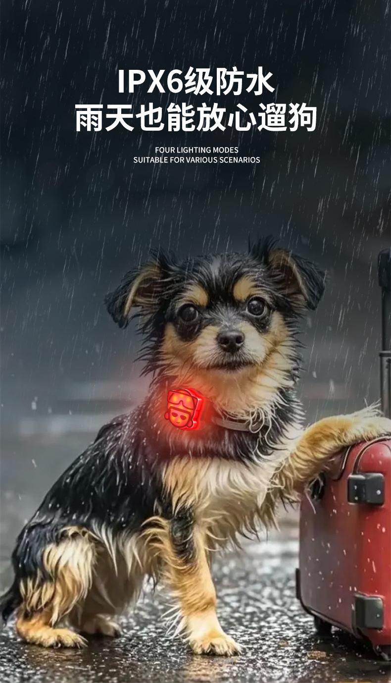 Pet night light dog walking lamp to prevent dogs from getting lost at night, illuminated pendant, charging LED warning, cat and dog flashing night walk pic 7