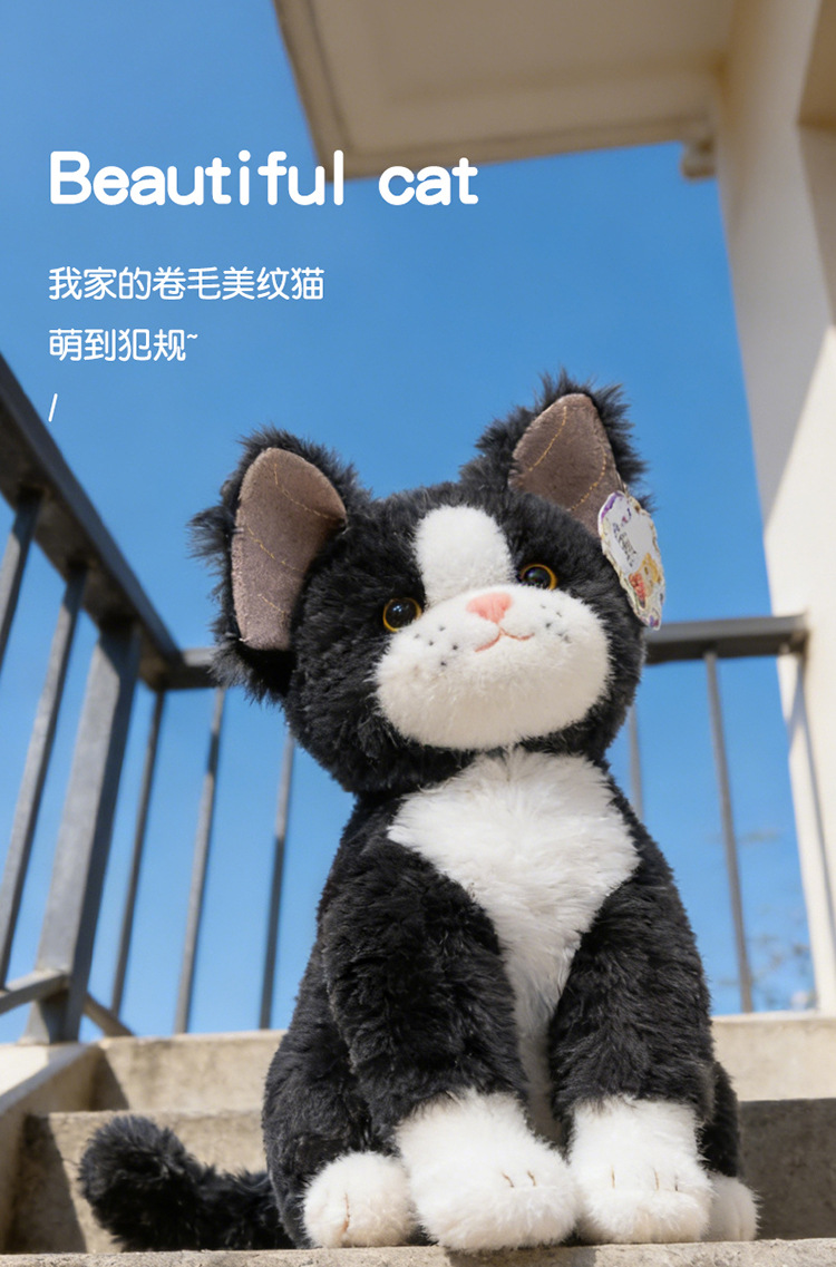 网红德文卷毛猫公仔猫咪玩偶毛绒玩具陪伴安抚娃娃儿童生日礼物女详情5