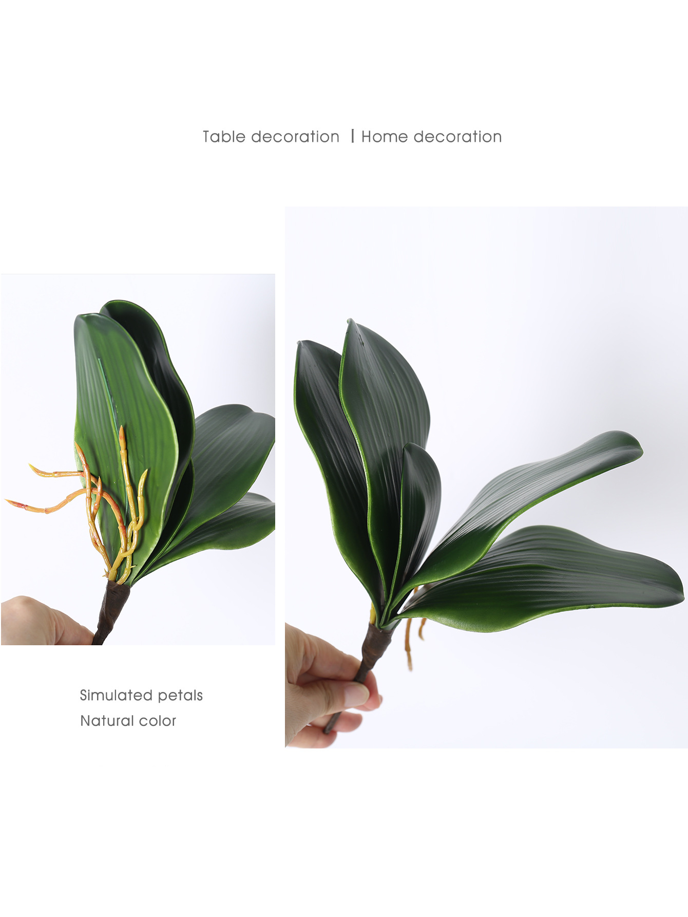 仿真蝴蝶兰叶手感软胶PU君子兰叶高档EVA蝴蝶兰叶丝网花配件插花详情6
