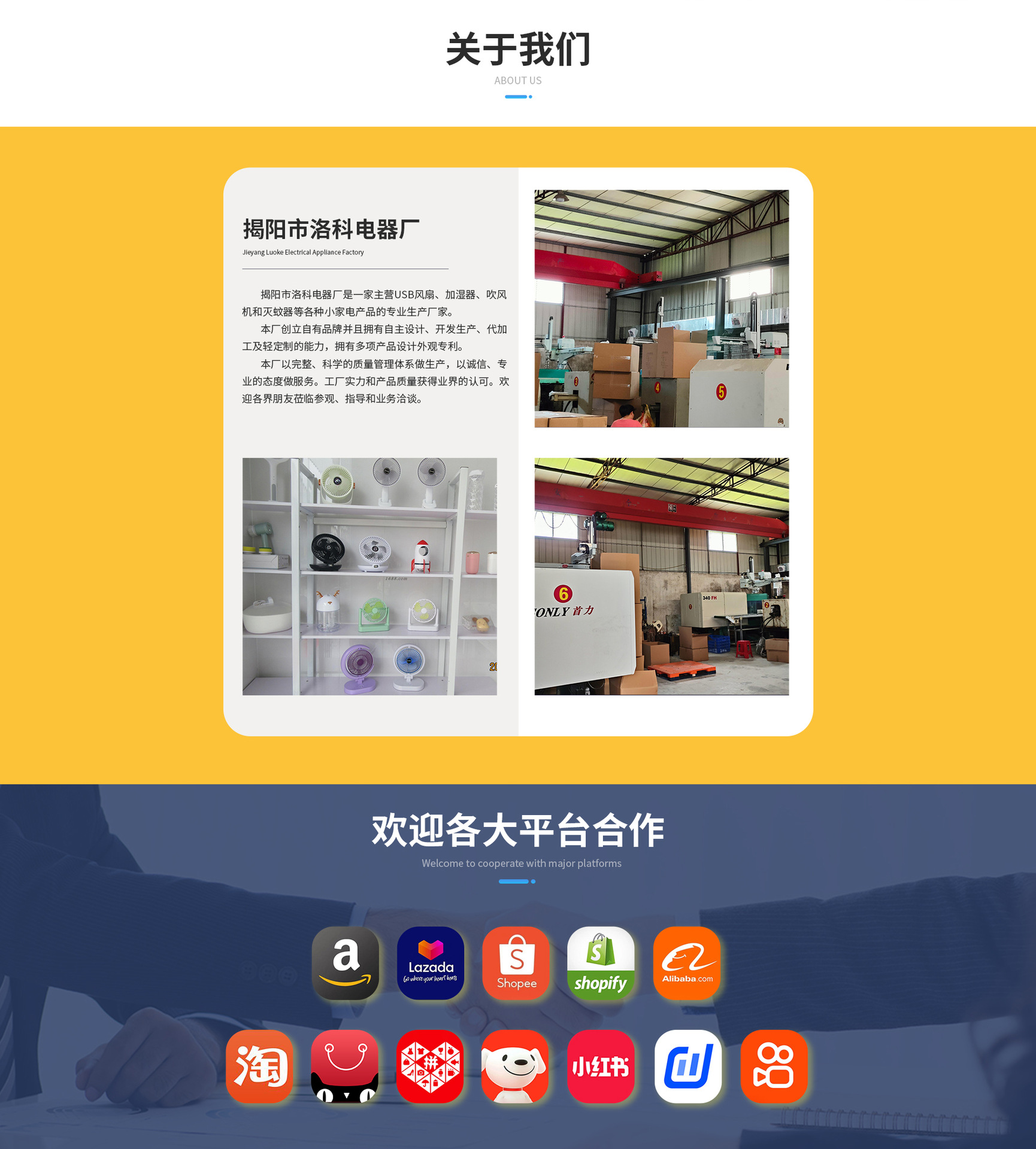 直板夹直发卷发两用不伤发可调温拉直电夹板刘海小型熨板器卷发棒详情23