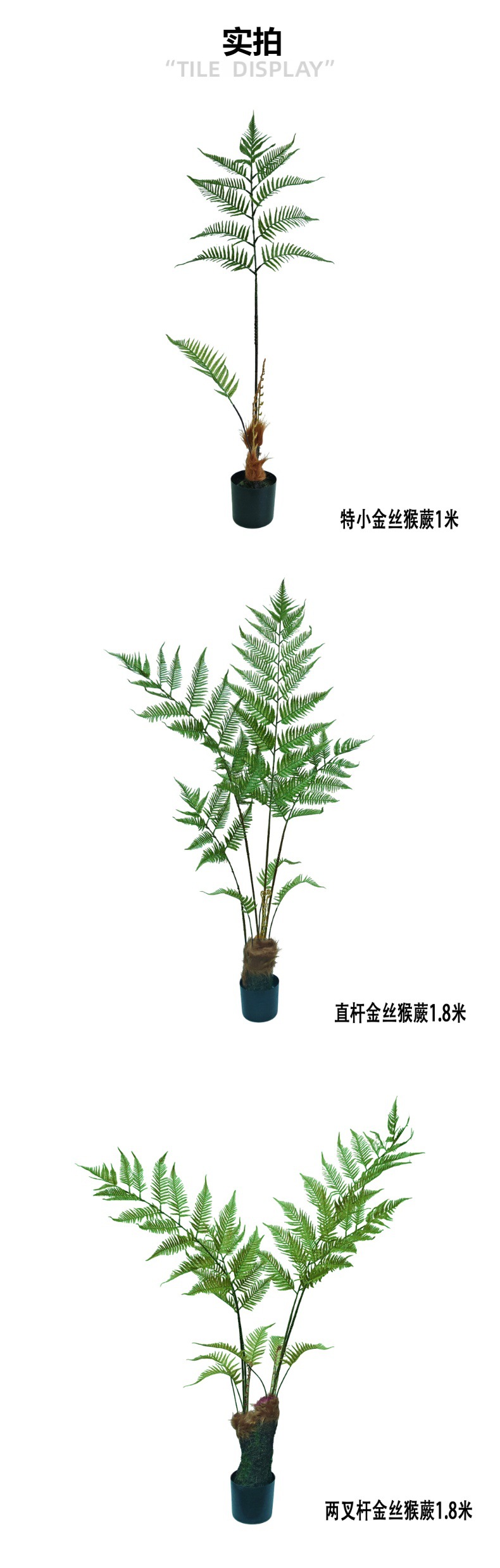 Helecho del mono simulado helecho del perro de pelo dorado en maceta helecho de una hoja hierba turva persa árbol falso estilo chino interior zen paisaje pic 3