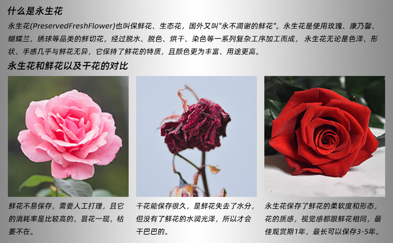 幻花永生花B级3-4玫瑰10朵花材干花独角兽情人节diy礼物盒材料包详情1