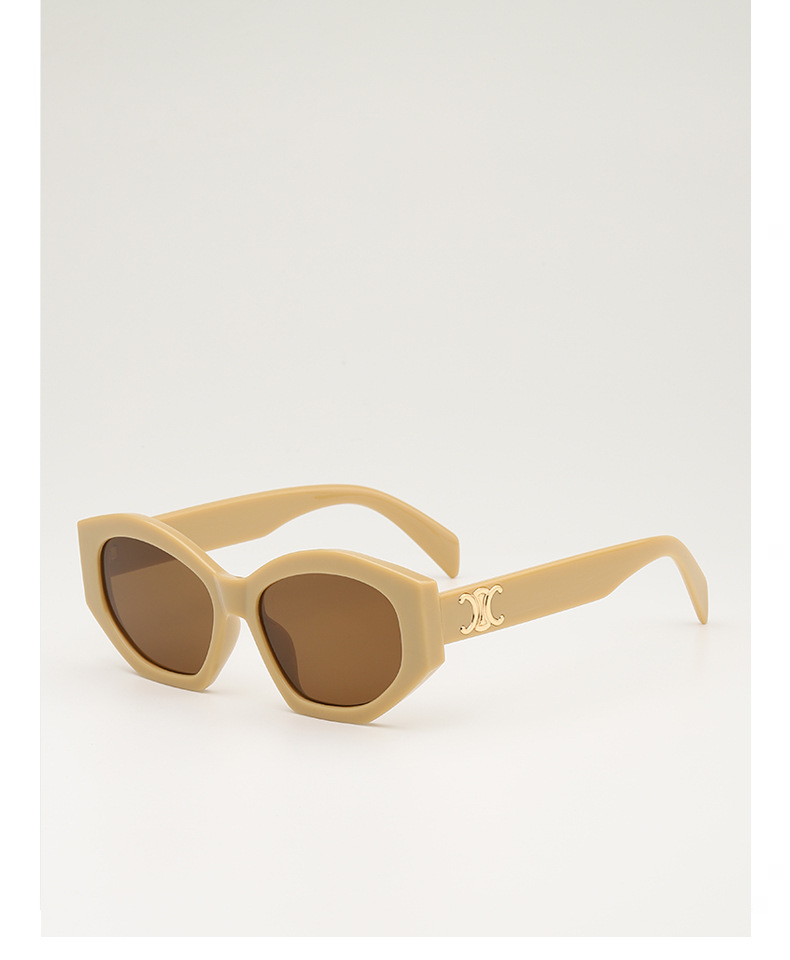 Retro triumph snow sunglasses for women, a new type of high-end oval angular sunglasses for sun protection and shading pic 17