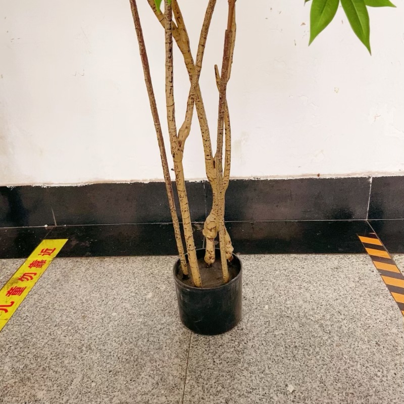 Factory store, wholesale of artificial plants, dynamic Chinese toon tree potted plants, courtyard ornaments, green painted wood, small tree landscaping and decoration pic 12