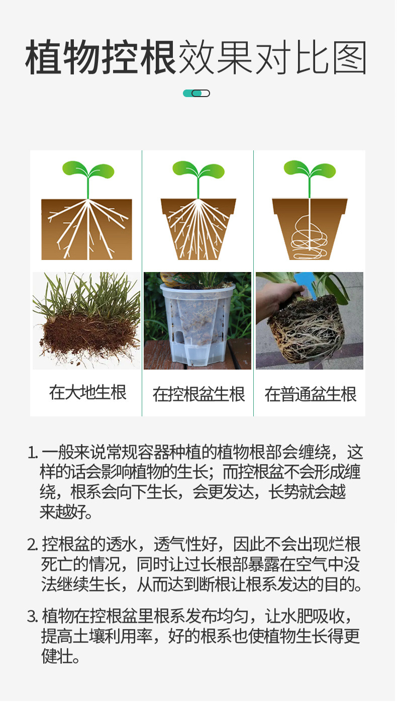 新款储水透明青山盆自吸水懒人盆控根盆朱顶红蝴蝶兰塑料花盆批发详情14