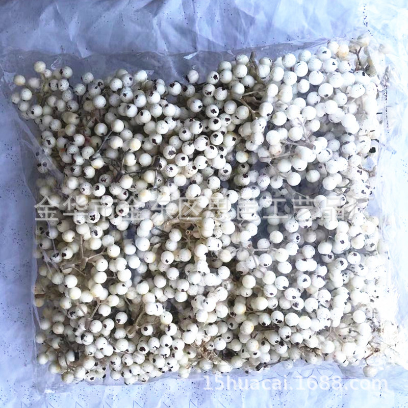 SL-9Heads-Milks.jpg