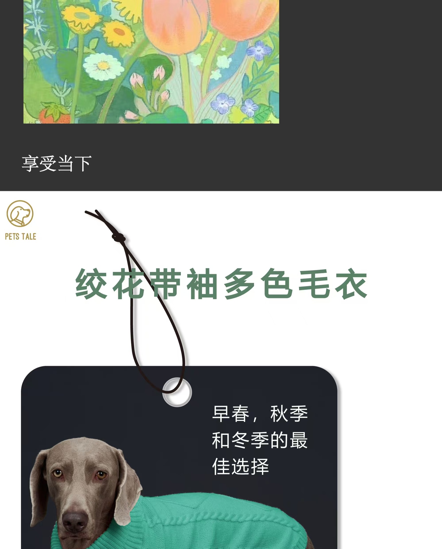 狗狗针织毛衣-舒适高领设计三色可选薄荷绿、粉色、姜黄色潮宠详情2