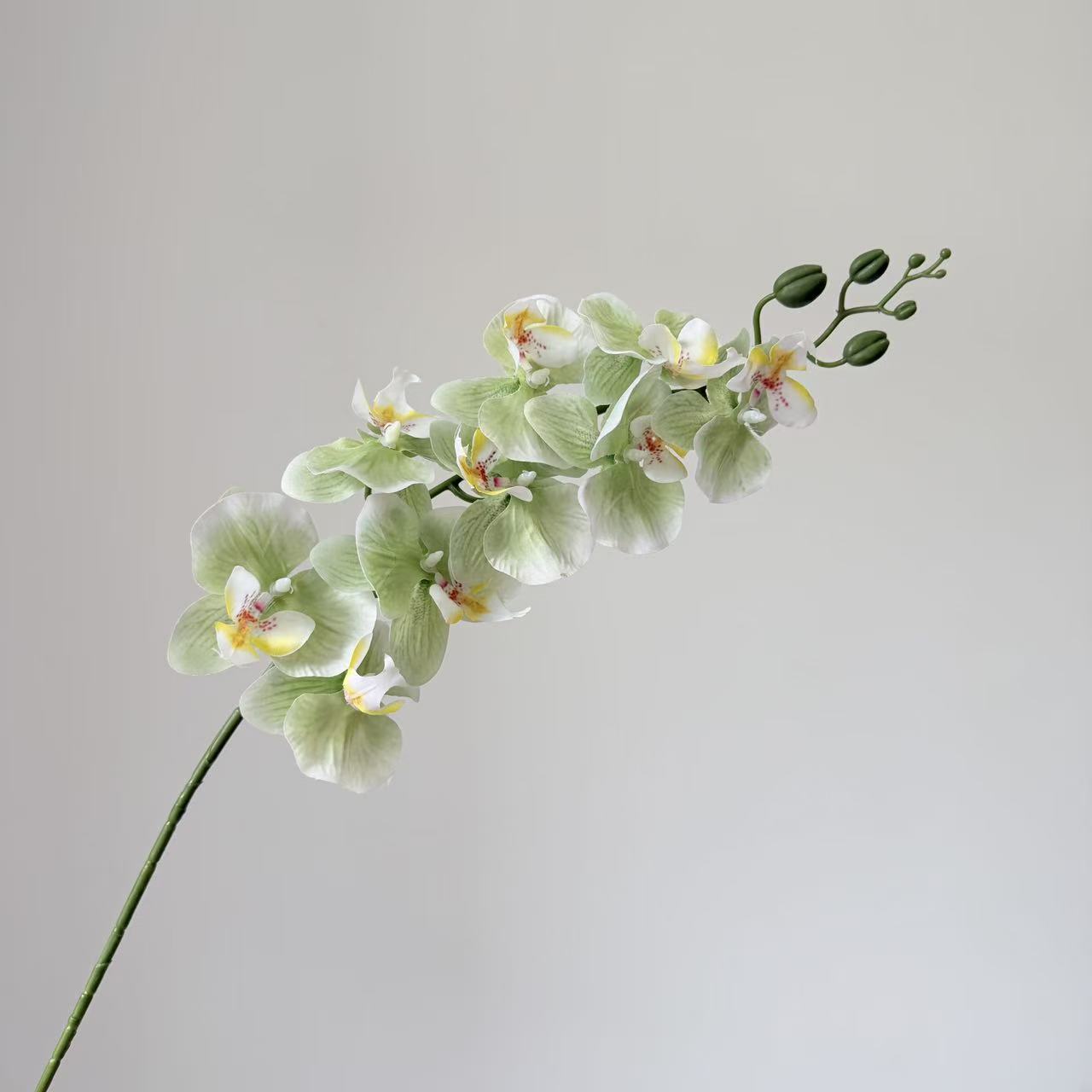 9头蝴蝶兰仿真花手感高级感逼真假花兰花艺场景布置酒店婚庆用花详情28