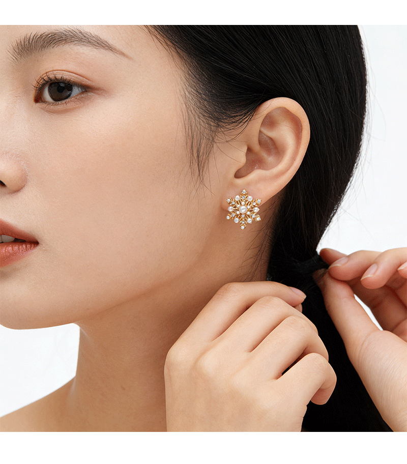 Hyacinth925 Silver Needle Exquisite Zircon Snowflake Stud Earrings Autumn/Winter 2026 New bestseller, high-end and unique design earrings for women pic 6