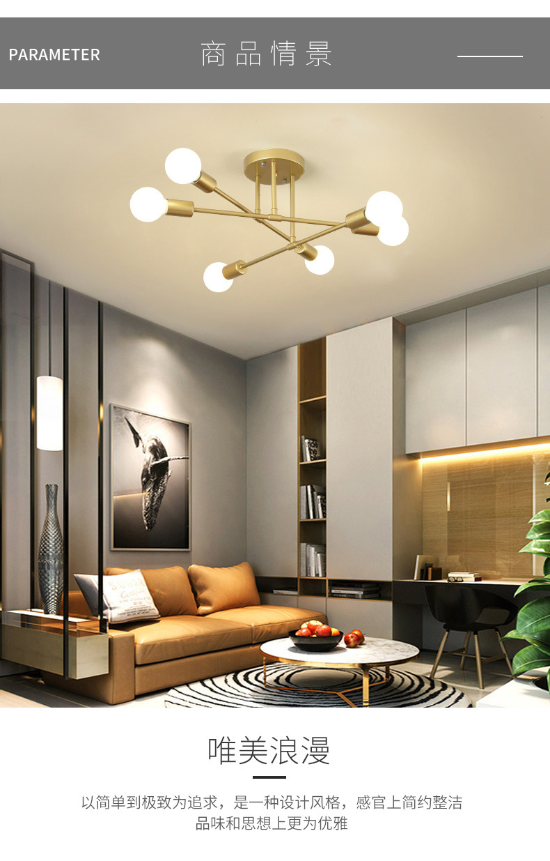 Cross-border Nordic living room lighting, dining room lighting, bedroom home decoration lighting, LED ceiling lighting, American black chandelier pic 4