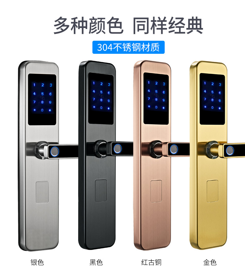 Tongtong Lock Silver and black dual-color smart door lock with facial and fingerprint recognition and blue backlit keyboard pic 19