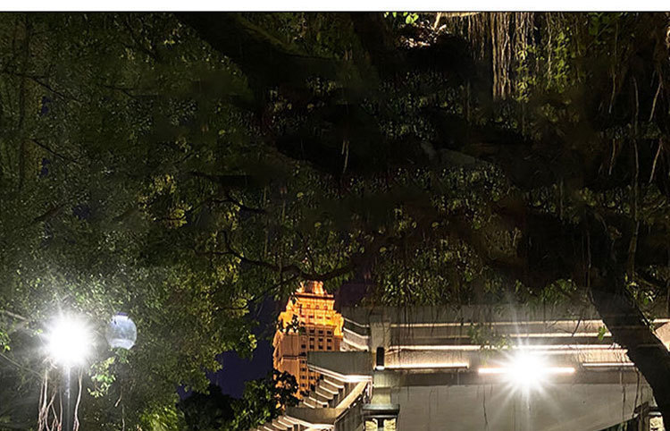 太阳能投光灯一拖二天黑自动亮户外庭院灯超亮照明家用新农村路灯详情54