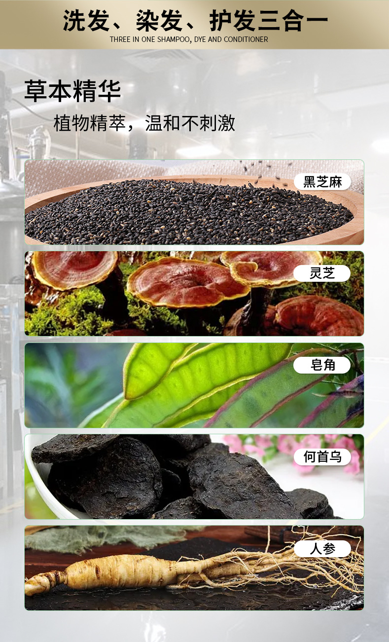 跨境一支黑BalckHairDyeShampoo植物染发剂膏梳洗发水染发变黑详情6
