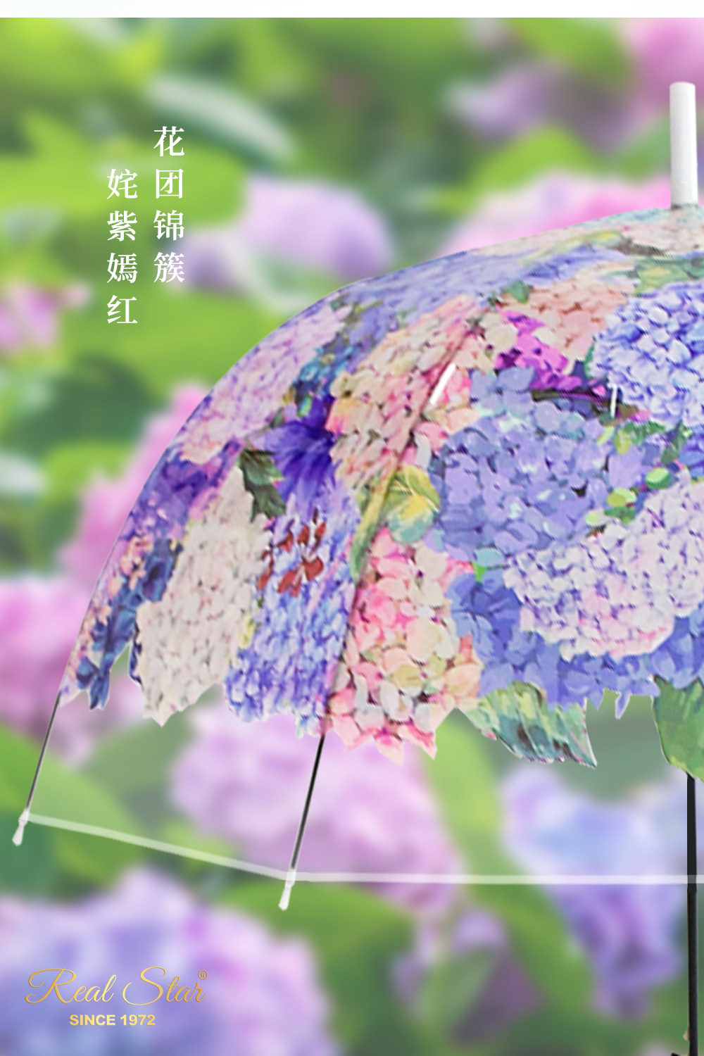 25年星宝新款成人透明伞绣球花彩色图案拱形雨伞数码印日韩清新详情7