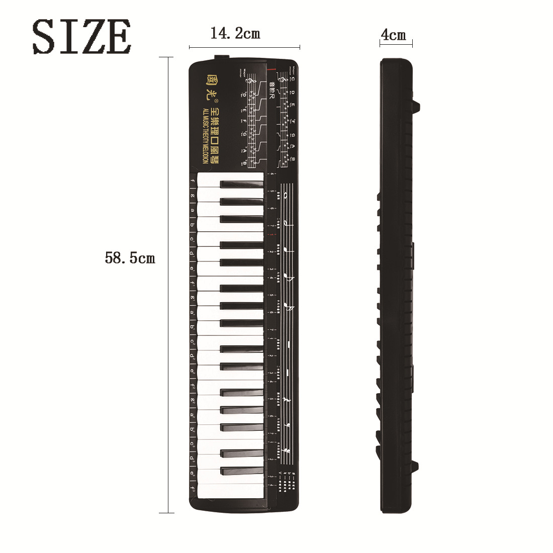 Wholesale Guoguang harmonica 37-key full music theory harmonica school recommendation for students, children and adults playing Musical Instruments pic 1