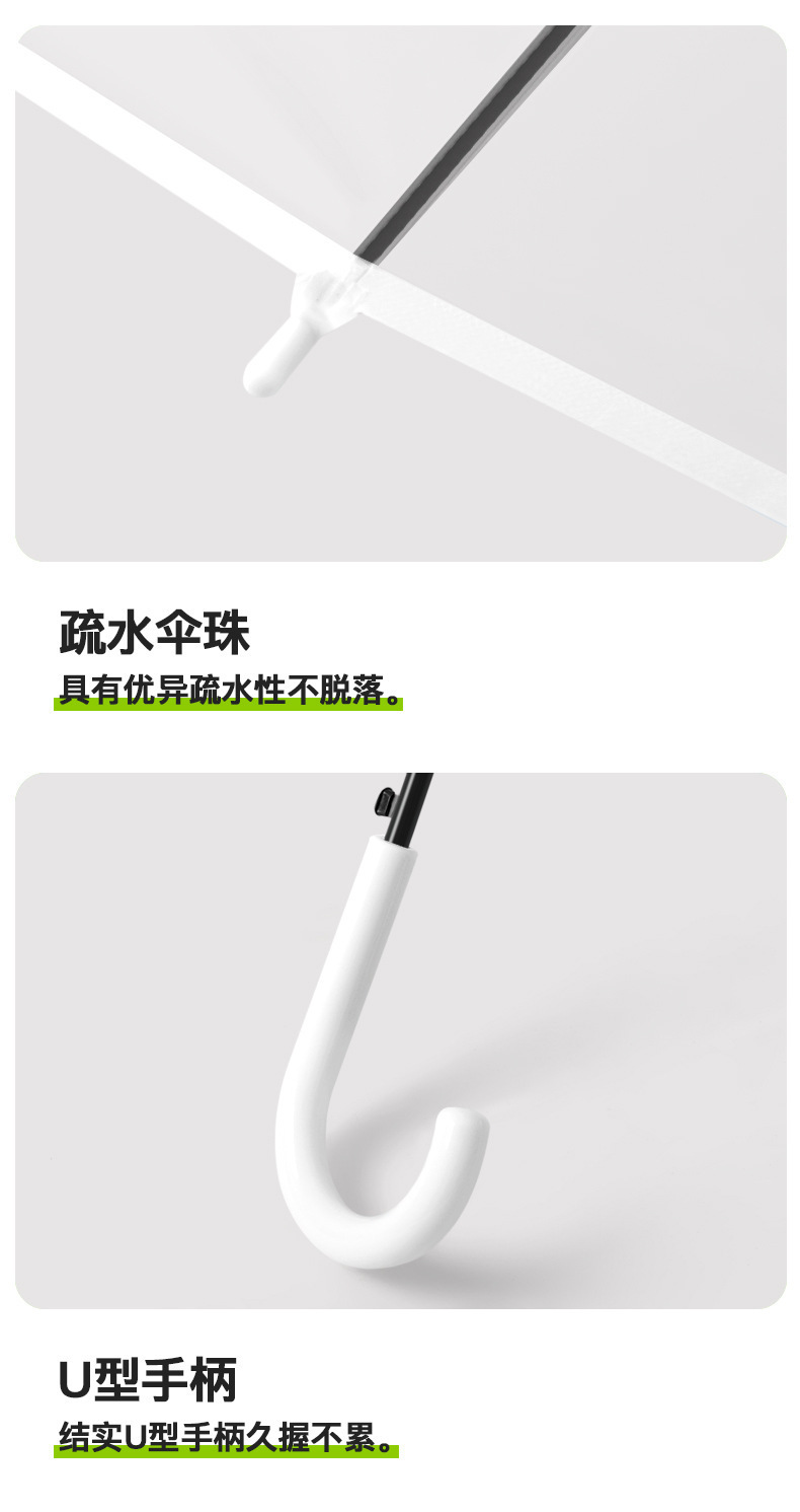 EVO透明环保伞定制长柄伞定制自动伞广告伞礼品透明直杆雨伞批发详情11