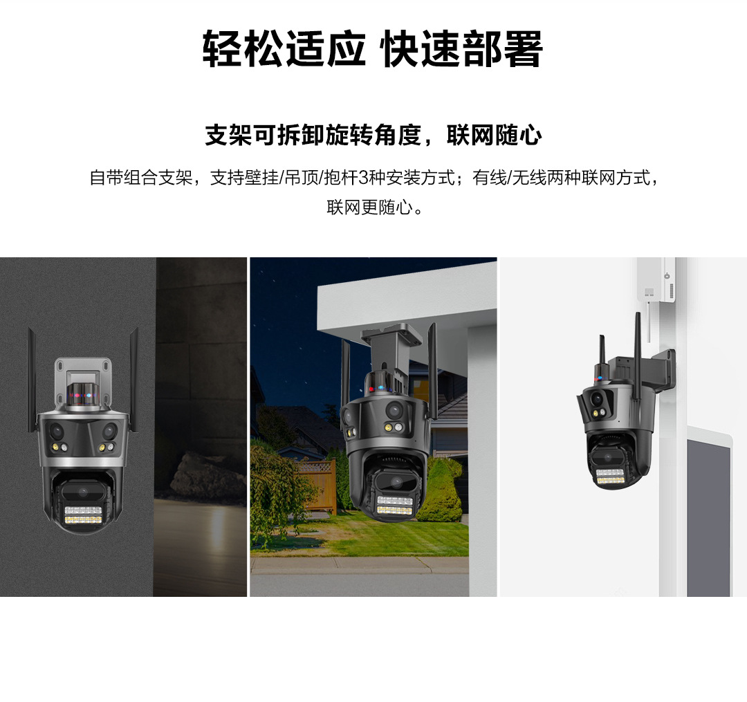 P12--SP8_08.jpg
