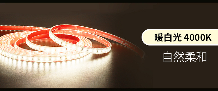 灯带led灯条自粘220v伏氛围灯客厅超亮户外防水鱼缸免驱动带开关详情16