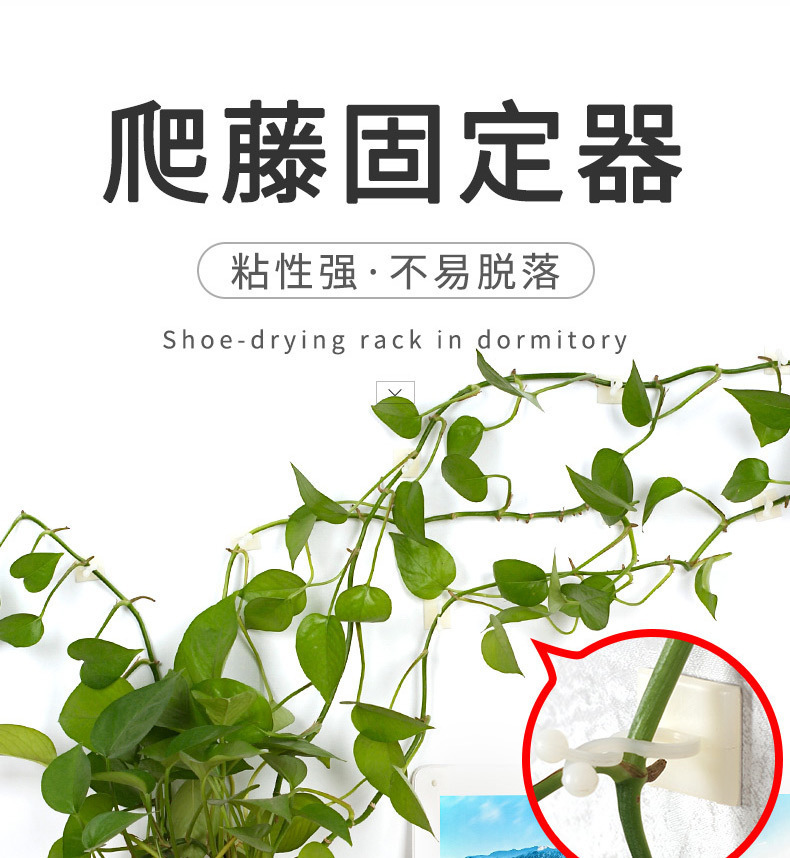 描述图_14.jpg