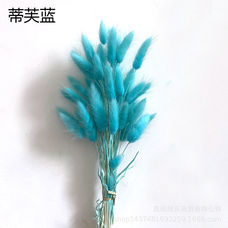 QQ图片20211017113640.jpg