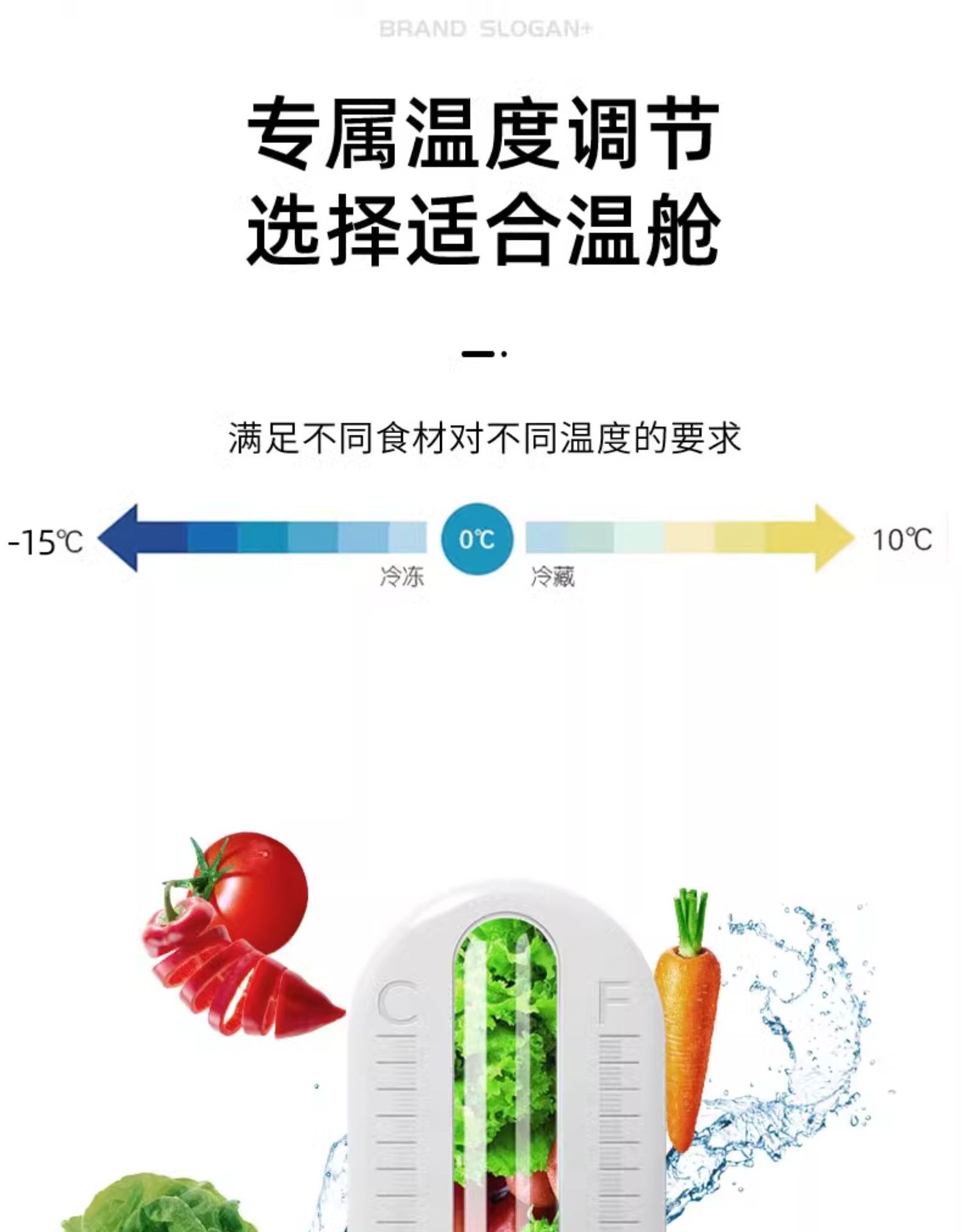 【一级节能】志高冰箱家用小型冷冻二人宿舍出租房双门电冰箱2803详情11