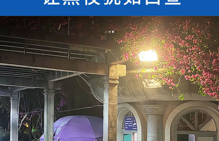 太阳能投光灯一拖二天黑自动亮户外庭院灯超亮照明家用新农村路灯详情52