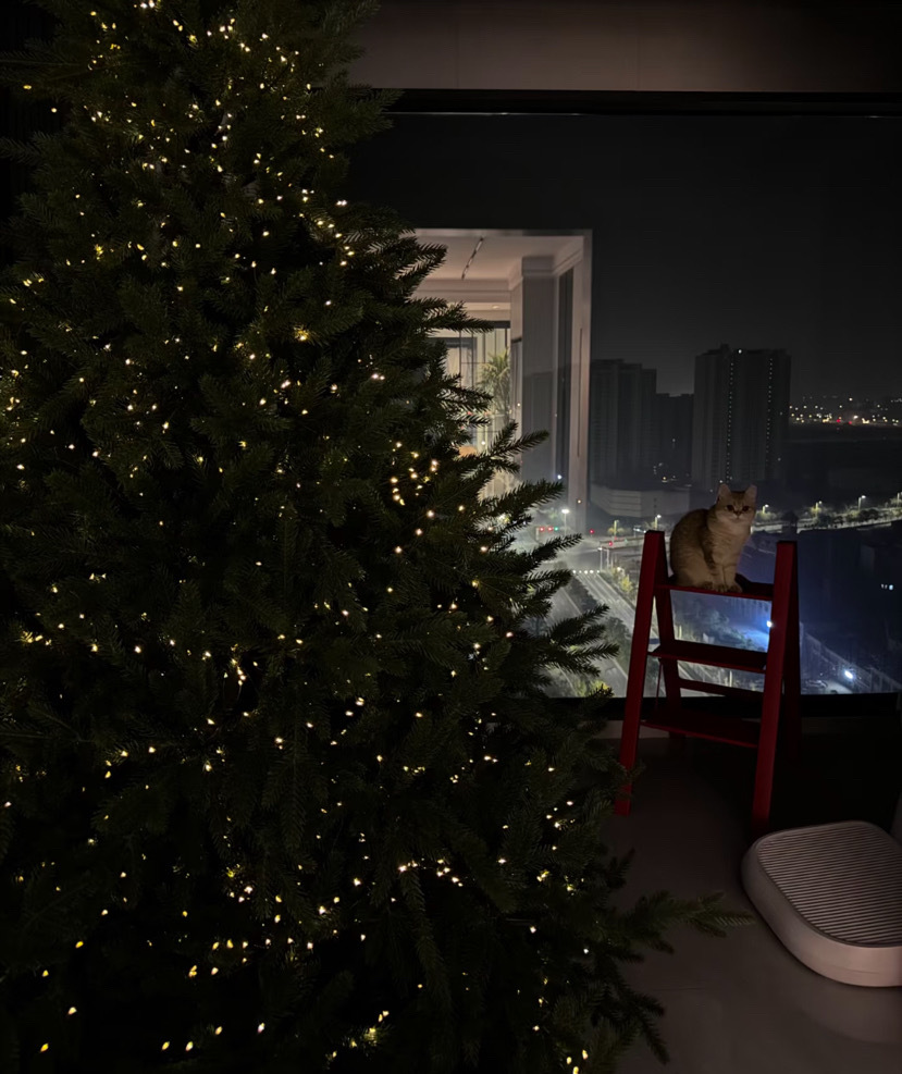 Cross-border LED firecracker lights, copper wire lights, string green wires, centipede feet, indoor and outdoor festival courtyard decorative lights, Christmas colored lights pic 13