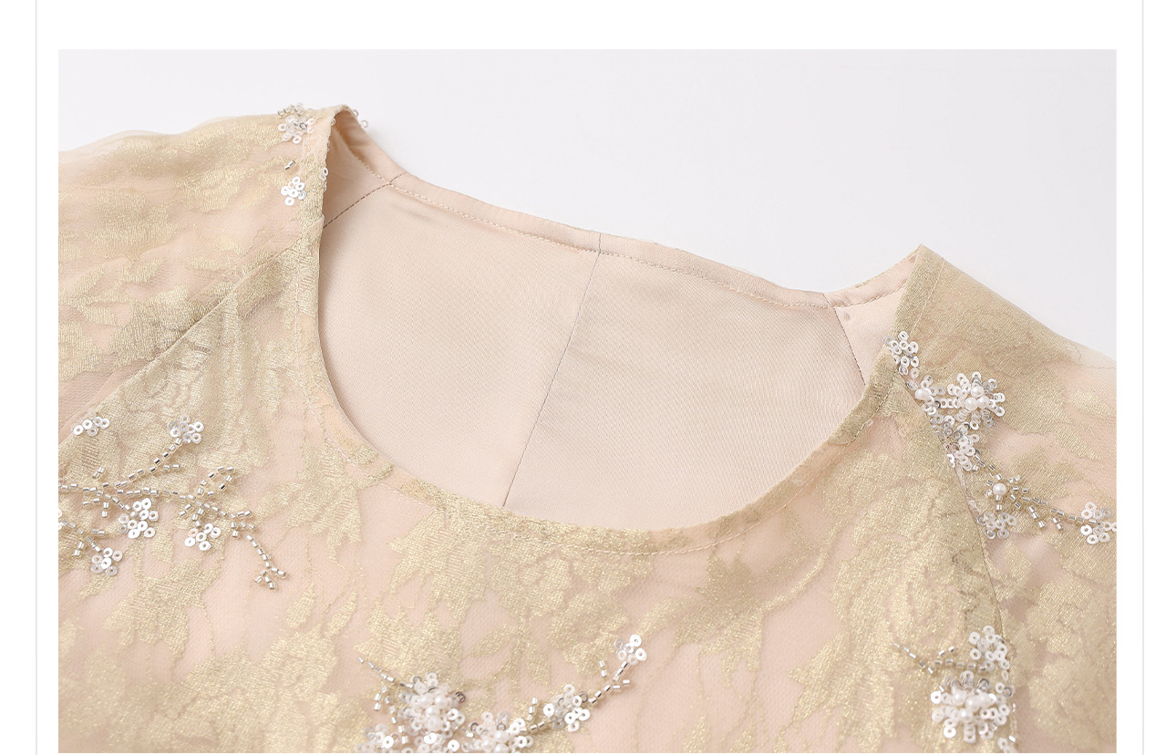 The new Chinese-style high-end dress with flower beaded embroidery and a light luxury design sense, the elegant long dress N2034 pic 9